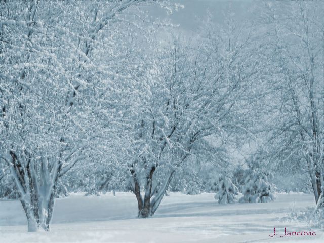 L'hiver